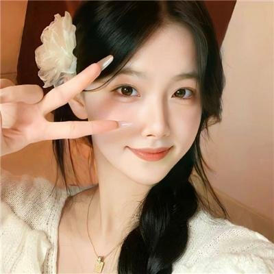 我们窃取秘密维基解密的故事